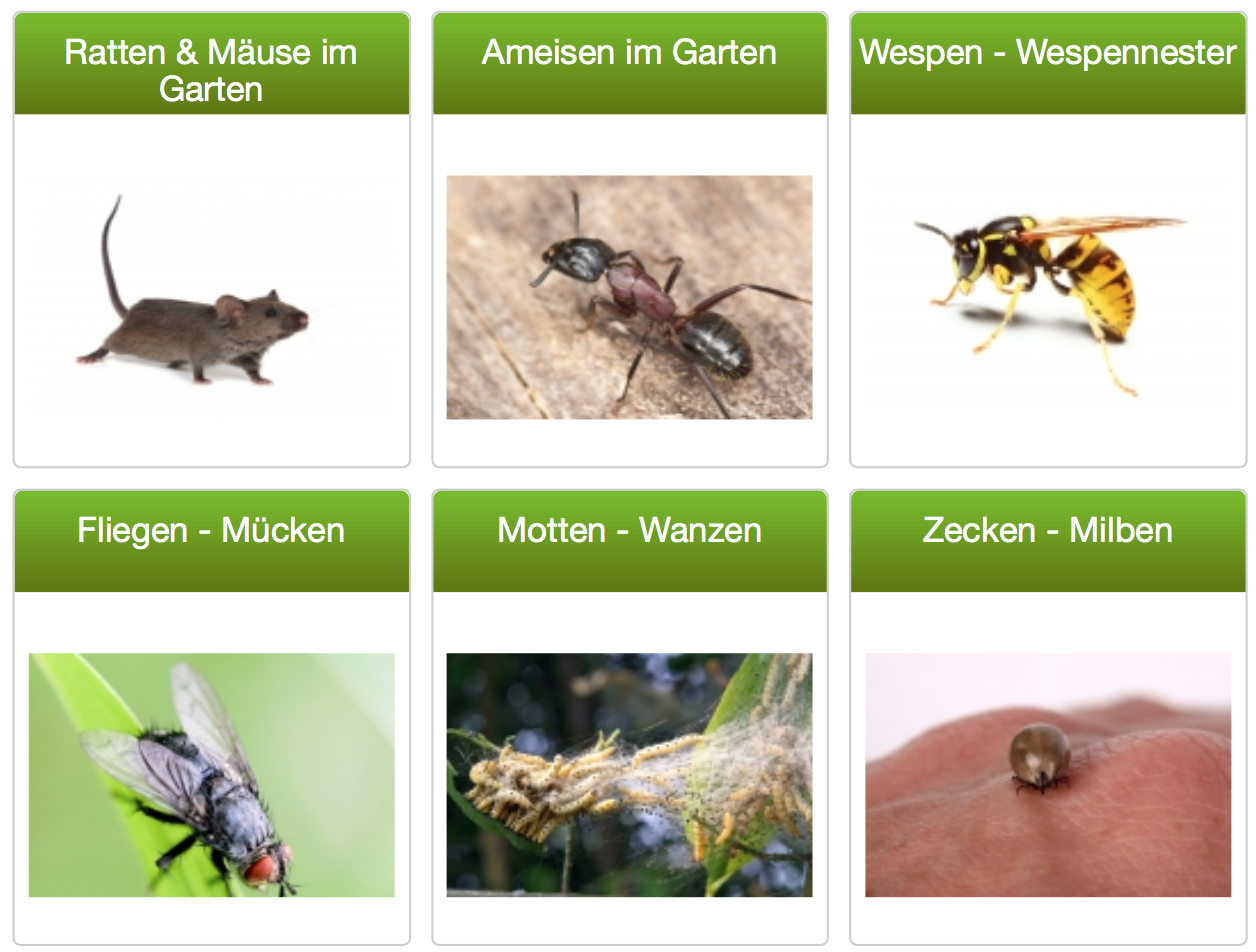 Schädlingsbekämpfung
