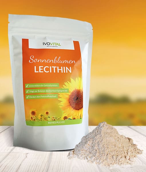 Sonnenblumen Lecithin Pulver für Deine Gesundheit
