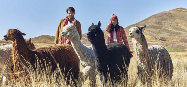 Alpaca-mode-Alpakas