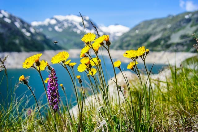 Ausnatur-Kräuter