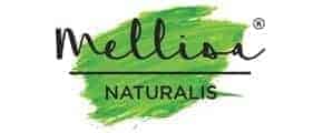 Ausnatur-Logo